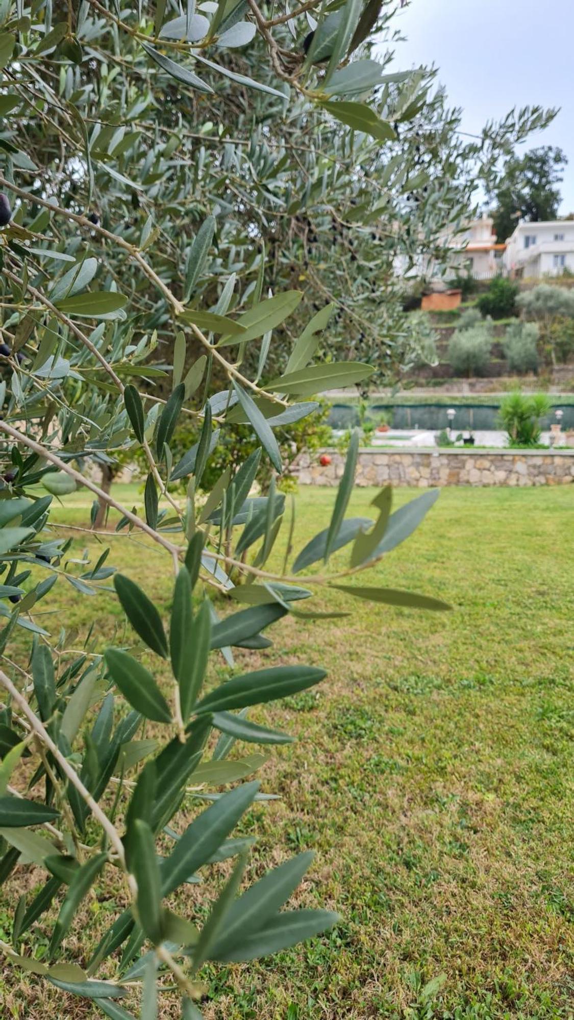 Hotel La Hacienda Ulcinj Exterior foto